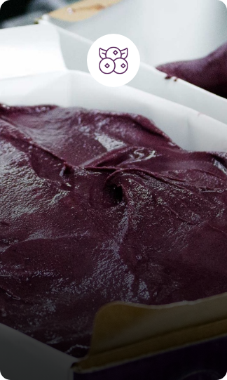 Work with the know-how of an experienced exporting and distributing company.